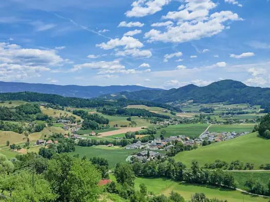 Immobilie in St. Paul im Lavanttal - Haus zum Kauf - St. Paul im Lavanttal - 795.000 € - 14 Zimmer, 361 m², 12.406 m² Grundstück - Bild 1