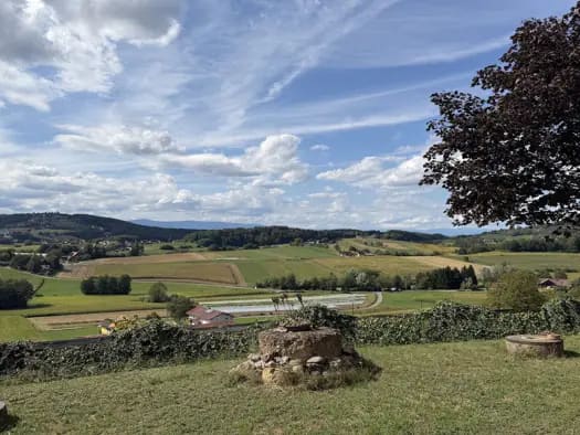 Immobilie in Sankt Nikolai im Sausal - Einfamilienhaus zum Kauf - Sankt Nikolai im Sausal - 850.000 € - 114 m², 4.884 m² Grundstück - Bild 2