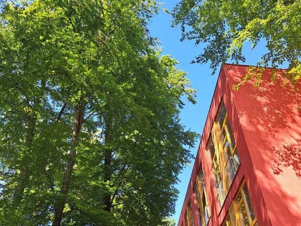 Immobilie in Bürmoos - Wohnung zum Kauf - Bürmoos - 215.000 € - 2 Zimmer, 57 m², 1. Geschoss - Bild 0