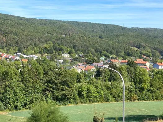 Immobilie in Markt Piesting - Mehrfamilienhaus zum Kauf - Markt Piesting - 399.000 € - 6 Zimmer, 180 m², 696 m² Grundstück - Bild 1