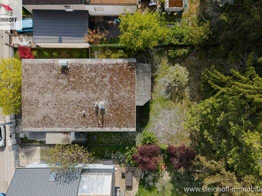 Immobilie in Liesing - Bungalow zum Kauf - Liesing - 699.000 € - 5 Zimmer, 130 m², 526 m² Grundstück - Bild 2