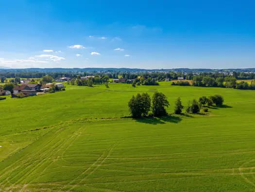 Immobilie in Schalchen - Einfamilienhaus zum Kauf - Schalchen - 529.000 € - 2 Zimmer, 73 m², 24.047 m² Grundstück - Bild 2