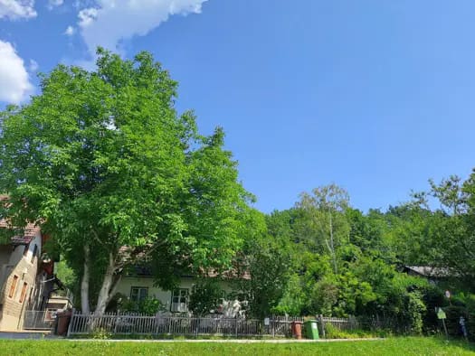 Immobilie in Payerbach - Einfamilienhaus zum Kauf - Payerbach - 140.000 € - 2 Zimmer, 40 m², 421 m² Grundstück - Bild 0