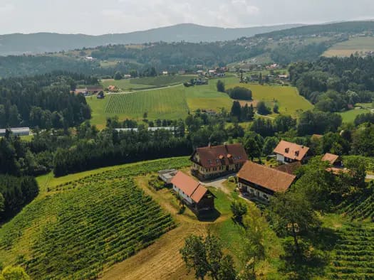 Immobilie in Sankt Stefan ob Stainz - Mehrfamilienhaus zum Kauf - Sankt Stefan ob Stainz - 1.450.000 € - 7 Zimmer, 400 m², 78.000 m² Grundstück - Bild 2
