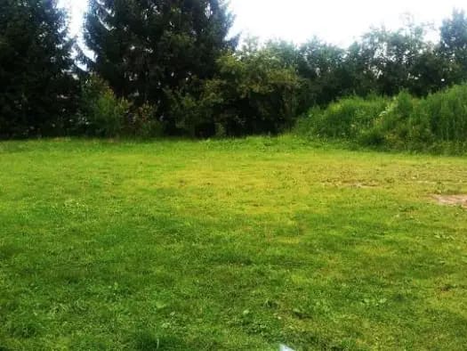 Immobilie in Altendorf - Haus zum Kauf - Altendorf - 450.000 € - 4 Zimmer, 100 m², 1.123 m² Grundstück - Bild 0