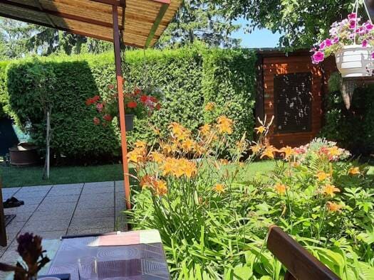 Immobilie in Vösendorf - Haus zum Kauf - Vösendorf - 545.000 € - 4 Zimmer, 120 m², 475 m² Grundstück - Bild 2