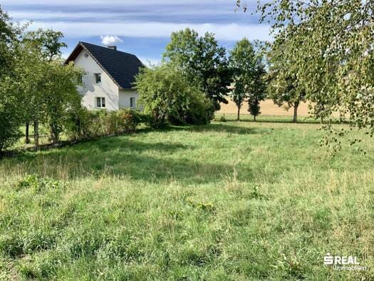 Immobilie in Neukirchen bei Lambach - Haus zum Kauf - Neukirchen bei Lambach - 495.000 € - 109 m², 3.001 m² Grundstück - Bild 1