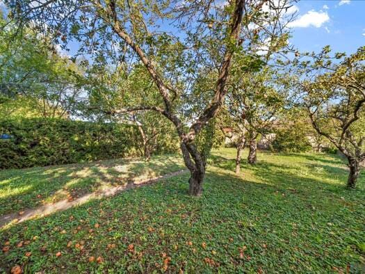 Immobilie in Rohrau - Haus zum Kauf - Rohrau - 229.000 € - 4 Zimmer, 170 m², 876 m² Grundstück - Bild 1
