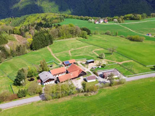 Immobilie in Engelhartszell - Bauernhaus zum Kauf - Engelhartszell - 1.320.000 € - 175 m², 159.441 m² Grundstück - Bild 1