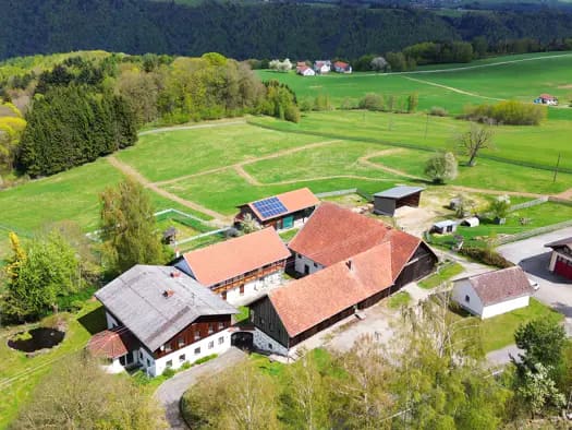 Immobilie in Engelhartszell - Bauernhaus zum Kauf - Engelhartszell - 1.320.000 € - 175 m², 159.441 m² Grundstück - Bild 2