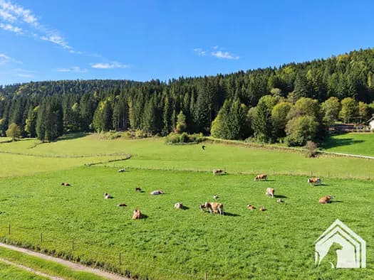 Immobilie in Glödnitz - Einfamilienhaus zum Kauf - Glödnitz - 295.000 € - 4 Zimmer, 79,3 m², 781 m² Grundstück - Bild 2