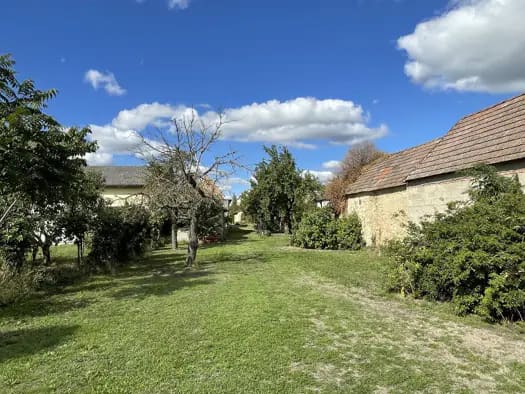 Immobilie in Oslip - Einfamilienhaus zum Kauf - Oslip - 139.000 € - 2,5 Zimmer, 63,8 m², 768,5 m² Grundstück - Bild 2