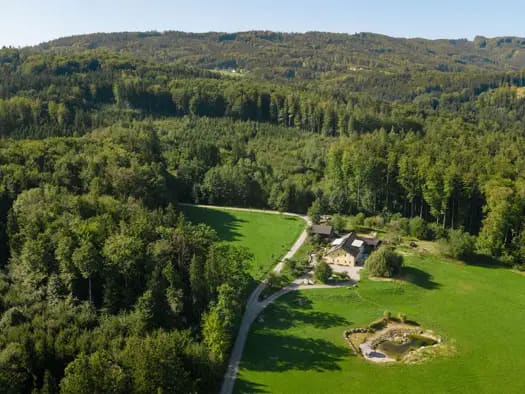 Immobilie in Regau - Bauernhaus zum Kauf - Regau - 1.890.000 € - 7 Zimmer, 341,4 m², 45.643 m² Grundstück - Bild 1