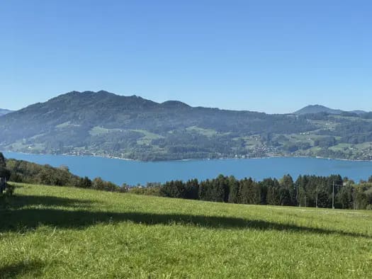 Immobilie in Steinbach am Attersee - Einfamilienhaus zum Kauf - Steinbach am Attersee - 998.000 € - 5 Zimmer, 150 m², 750 m² Grundstück, frei ab sofort - Bild 1