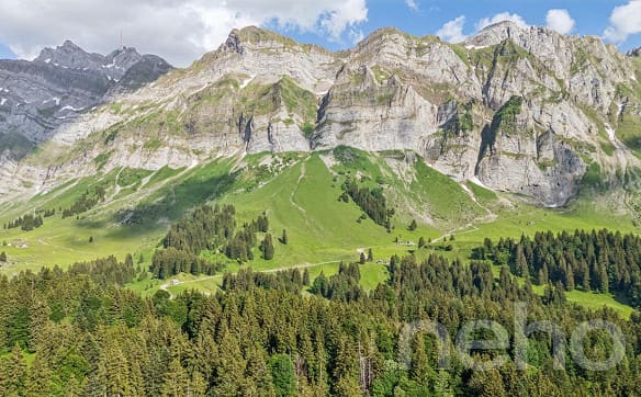 Immobilie in Urnäsch - 6.5-Zimmer-Einfamilienhaus in naturnaher Lage am Fusse des Säntis - Bild 9