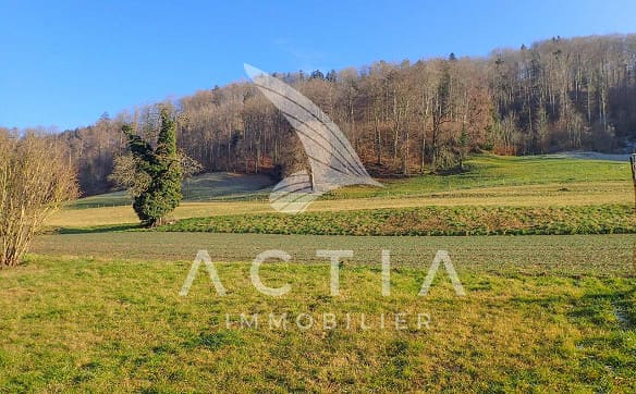 Immobilie in Moudon - Propriété atypique hors zone à bâtir | Maison d'habitation + Rural - Bild 12