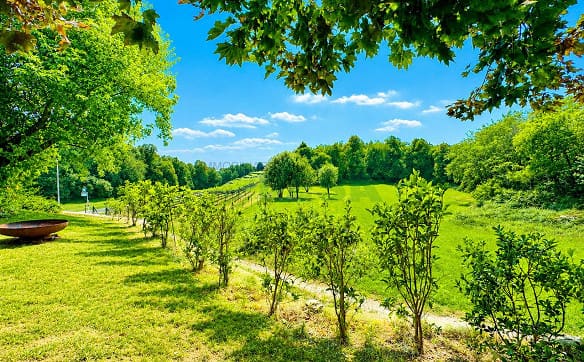 Immobilie in Tremona - Elegante e spaziosa villa con appartamento bilocale e grande giardino - Bild 12