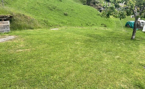 Immobilie in Campo - Rustico di 3 locali con terreno - Bild 14