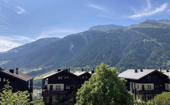 Immobilie in Ernen - Helle Eck-Wohnung mit Süd-West-Balkon  - Bild 8