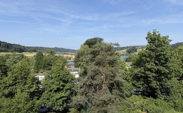 Immobilie in Hinterkappelen - Grosszügige 5.5-Zimmerwohnung an ruhiger Lage mit schöner Aussicht - Bild 24