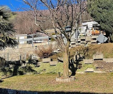 Immobilie in S. Antonio - ACCOGLIENTE CON GIARDINO E VERANDA - Bild 1
