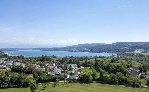 Immobilie in Schwerzenbach - Helle und moderne 3.5-Zimmer Wohnung nahe dem Greifensee - Bild 11