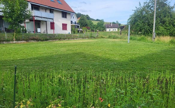 Immobilie in Laupersdorf - Bauernhaus mit Garten, Parkplätzen und grosser Ausbaureserve - idea... - Bild 2