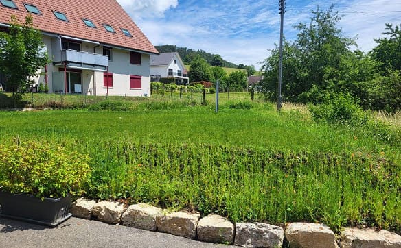Immobilie in Laupersdorf - Bauernhaus mit Garten, Parkplätzen und grosser Ausbaureserve - idea... - Bild 4