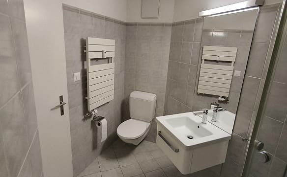 Immobilie in Tamins - Charmante 3,5-Zimmer-Dachwohnung mit Dachausbau und Bergsicht in Tamin - Bild 10