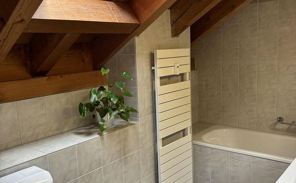 Immobilie in Tamins - Charmante 3,5-Zimmer-Dachwohnung mit Dachausbau und Bergsicht in Tamin - Bild 9