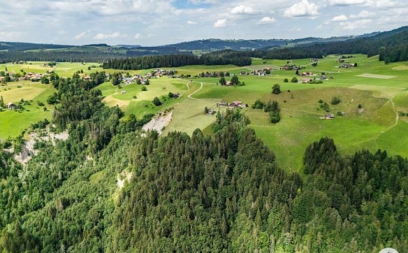 Immobilie in Schwarzenegg - Für Menschen mit Ideen, Platzbedarf und Blick fürs Besondere - Bild 2