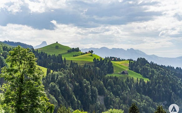 Immobilie in Schwarzenegg - Für Menschen mit Ideen, Platzbedarf und Blick fürs Besondere - Bild 4