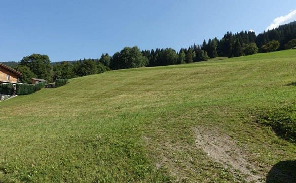 Immobilie in Obersaxen - Maiensässdörfchen mit 4 Häusern als Festwohnsitz - Bild 3