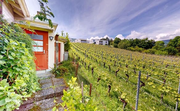 Immobilie in Boudry - Cocon à créer avec vue dégagée sur les vignes - Bild 0