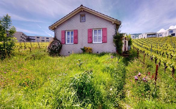 Immobilie in Boudry - Cocon à créer avec vue dégagée sur les vignes - Bild 3