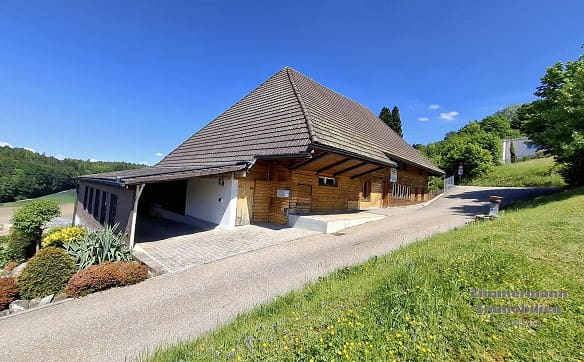 Immobilie in Gränichen - Historische Liegenschaft auf attraktivem Baugrundstück mit Potential  - Bild 1