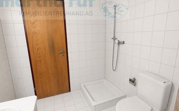 Immobilie in Brienz Be - grosszügige 4.5-Zimmer-Wohnung im Erdgeschoss - Bild 8