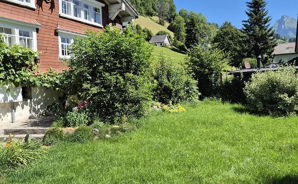 Immobilie in Alt St. Johann - Wohnhaus mit freistehender Doppelgarage und Gartenanlage - Bild 23