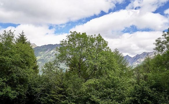 Immobilie in Olivone - 2-Zimmer-Rustico an Alleinlage mit Panorama-Aussicht und Umschwung ... - Bild 1