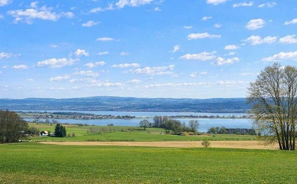 Immobilie in Ermatingen - Stilvolles Wohnen in Seenähe - Bild 8