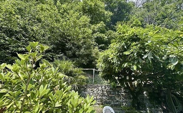 Immobilie in Brontallo - 4-Zimmer Rustico mit Garten an sehr ruhiger, sonniger Aussichtslage... - Bild 25