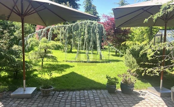 Immobilie in Burg Im Leimental - RUHE, NATUR UND WOHNQUALITÄT VEREINT - Bild 0