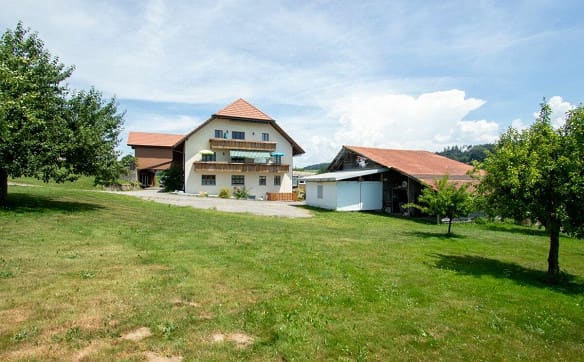 Immobilie in Tafers - Mehr als ein Bauernhaus - drei Wohnungen und unzählige Möglichkeiten - Bild 0