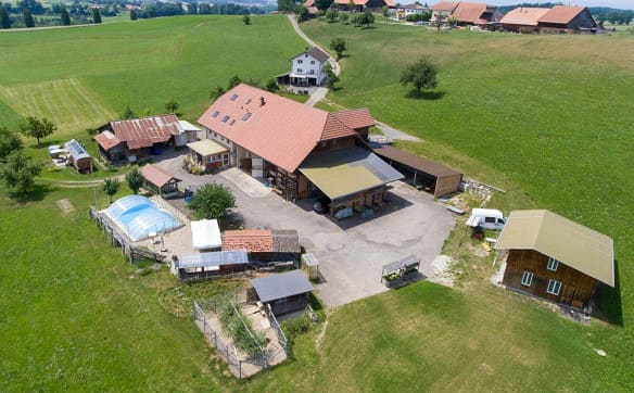 Immobilie in Tafers - Mehr als ein Bauernhaus - drei Wohnungen und unzählige Möglichkeiten - Bild 2
