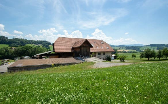 Immobilie in Tafers - Mehr als ein Bauernhaus - drei Wohnungen und unzählige Möglichkeiten - Bild 4