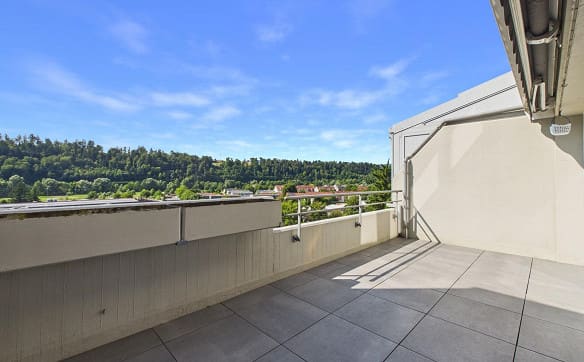 Immobilie in Zwingen - Attika- Maisonette- Terrasse mit Lift am Wald! - Bild 1