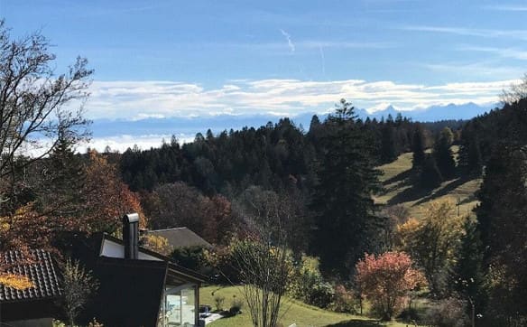 Immobilie in Orvin - Exklusives Ferienhaus mit grossem Umschwung an äusserst ruhiger Lage - Bild 2