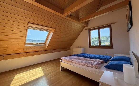 Immobilie in Liesberg Dorf - 7.5 Zimmer-EFH mit traumhafter Aussicht und schönem Garten - Bild 7