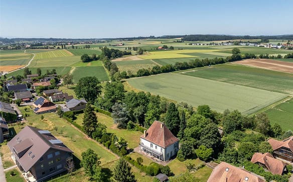 Immobilie in Münchringen - Repräsentative Landhausvilla in zauberhaftem Garten - Bild 2