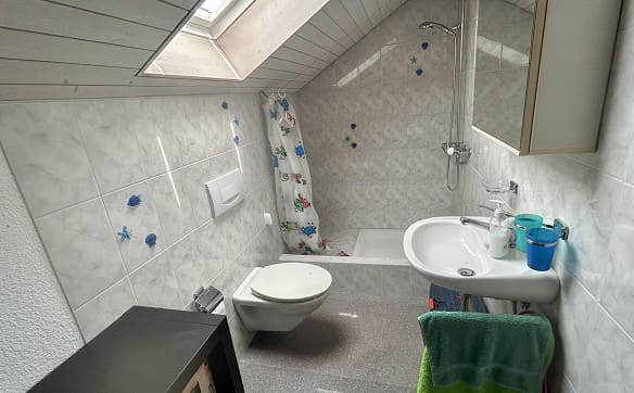 Immobilie in Münchwilen Tg - gepflegtes Haus mit schönem Garten - Bild 16